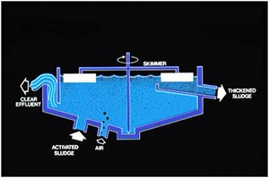 Sludge Thickening Pic2